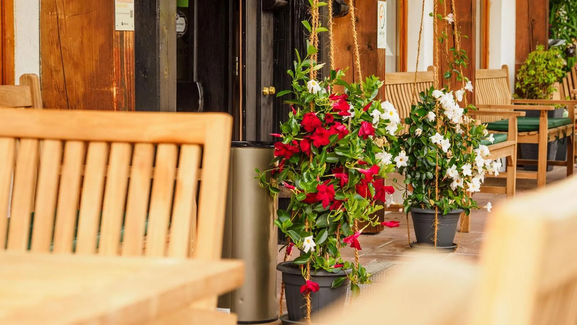 Alpenhotel Sonneck - Mit Bergbahnticket Bad Hindelang Hotel