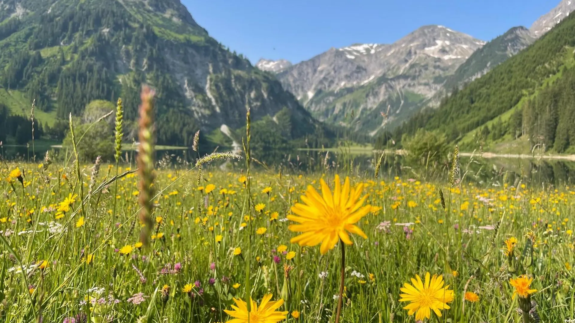 Hotel Alpenhotel Sonneck - Mit Bergbahnticket Bad Hindelang